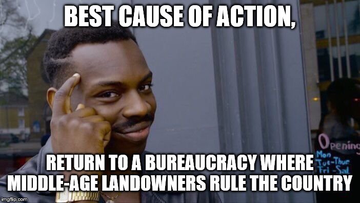 Roll Safe Think About It Meme | BEST CAUSE OF ACTION, RETURN TO A BUREAUCRACY WHERE MIDDLE-AGE LANDOWNERS RULE THE COUNTRY | image tagged in memes,roll safe think about it | made w/ Imgflip meme maker