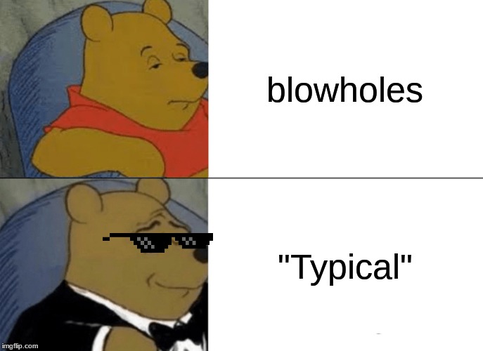 Tuxedo Winnie The Pooh | blowholes; "Typical" | image tagged in memes,tuxedo winnie the pooh | made w/ Imgflip meme maker