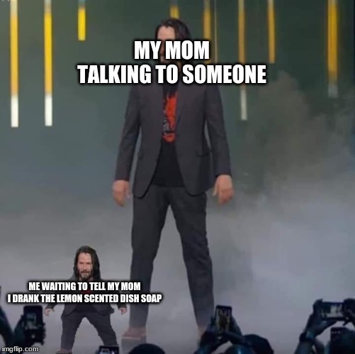 Keanu and Mini Keanu | MY MOM TALKING TO SOMEONE; ME WAITING TO TELL MY MOM I DRANK THE LEMON SCENTED DISH SOAP | image tagged in keanu and mini keanu | made w/ Imgflip meme maker