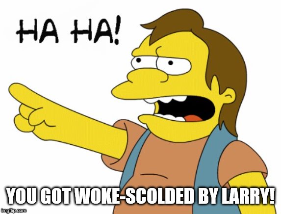 HA HA | YOU GOT WOKE-SCOLDED BY LARRY! | image tagged in ha ha | made w/ Imgflip meme maker