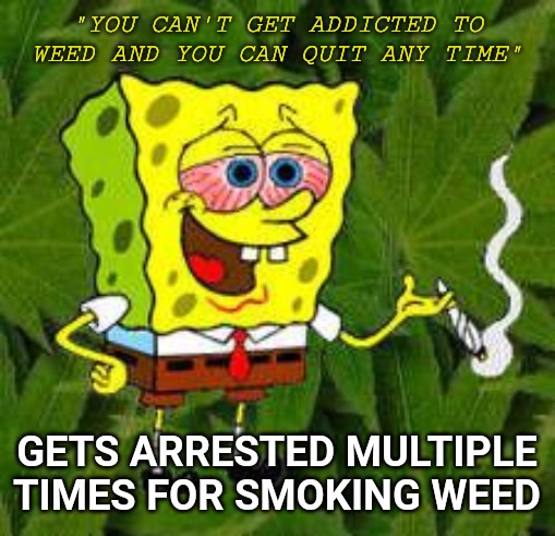 Weed | "YOU CAN'T GET ADDICTED TO WEED AND YOU CAN QUIT ANY TIME"; GETS ARRESTED MULTIPLE TIMES FOR SMOKING WEED | image tagged in weed | made w/ Imgflip meme maker