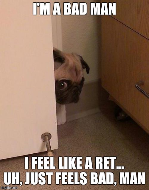 Guilty Pug | I'M A BAD MAN I FEEL LIKE A RET... UH, JUST FEELS BAD, MAN | image tagged in guilty pug | made w/ Imgflip meme maker