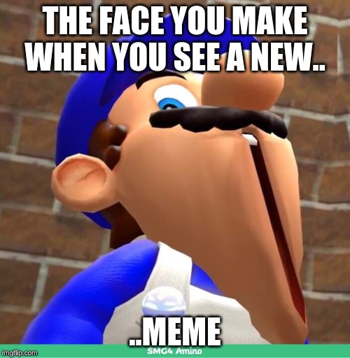 smg4's face | THE FACE YOU MAKE WHEN YOU SEE A NEW.. ..MEME | image tagged in smg4's face | made w/ Imgflip meme maker