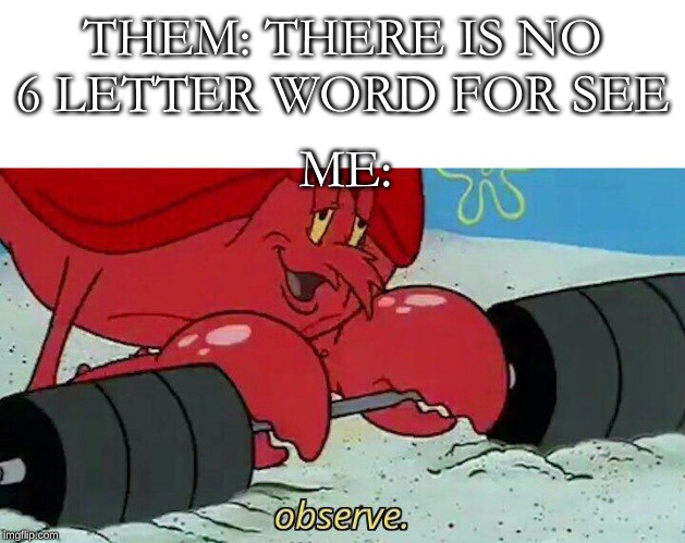 Observe | THEM: THERE IS NO 6 LETTER WORD FOR SEE; ME: | image tagged in observe | made w/ Imgflip meme maker