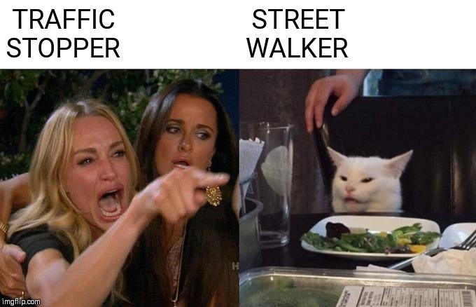 Woman Yelling At Cat Meme | TRAFFIC STOPPER; STREET WALKER | image tagged in memes,woman yelling at cat | made w/ Imgflip meme maker