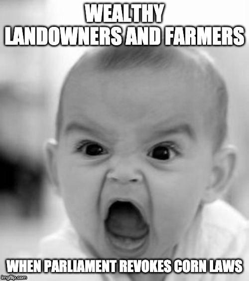 Angry Baby | WEALTHY LANDOWNERS AND FARMERS; WHEN PARLIAMENT REVOKES CORN LAWS | image tagged in memes,angry baby | made w/ Imgflip meme maker