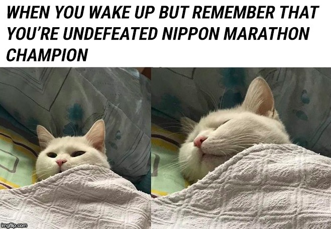 Nippon Marathon Champion | image tagged in nippon marathon,funny memes,cat memes,wake up,champion,winning | made w/ Imgflip meme maker
