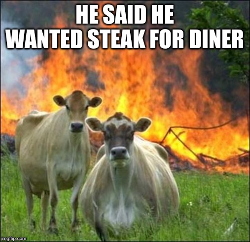 Evil Cows Meme | HE SAID HE WANTED STEAK FOR DINER | image tagged in memes,evil cows | made w/ Imgflip meme maker