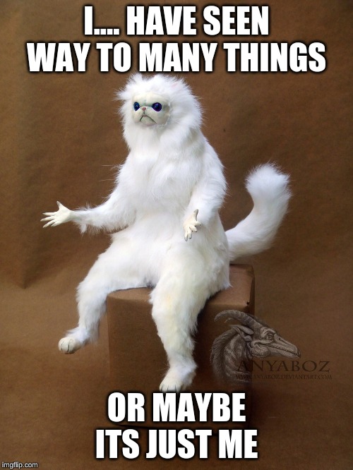 Persian Cat Room Guardian Single Meme | I.... HAVE SEEN WAY TO MANY THINGS; OR MAYBE ITS JUST ME | image tagged in memes,persian cat room guardian single | made w/ Imgflip meme maker