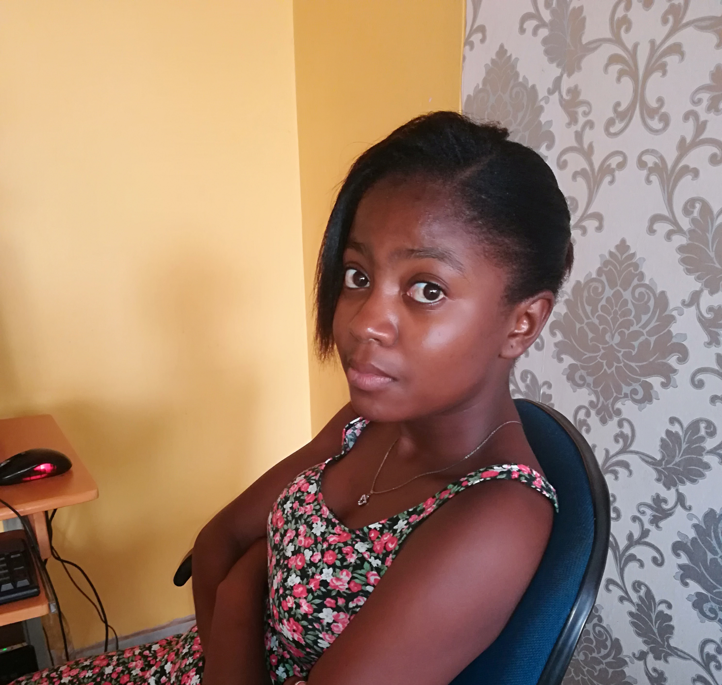 Rezelda Blank Meme Template