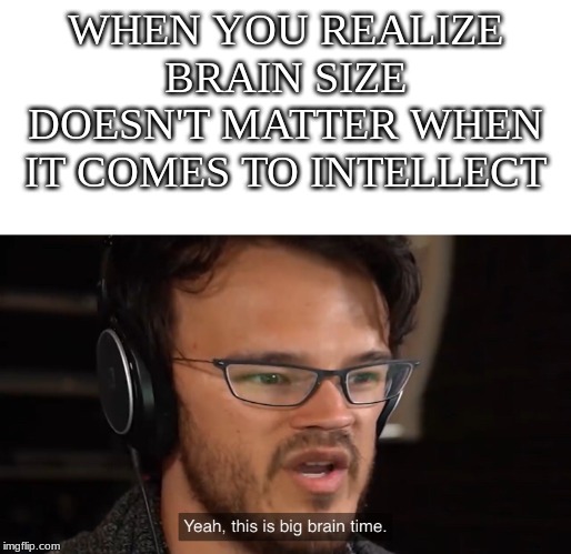 People live with half a brain and are still smart! (And yes, you can live with half a brain). | WHEN YOU REALIZE BRAIN SIZE DOESN'T MATTER WHEN IT COMES TO INTELLECT | image tagged in memes,yeah this is big brain time | made w/ Imgflip meme maker