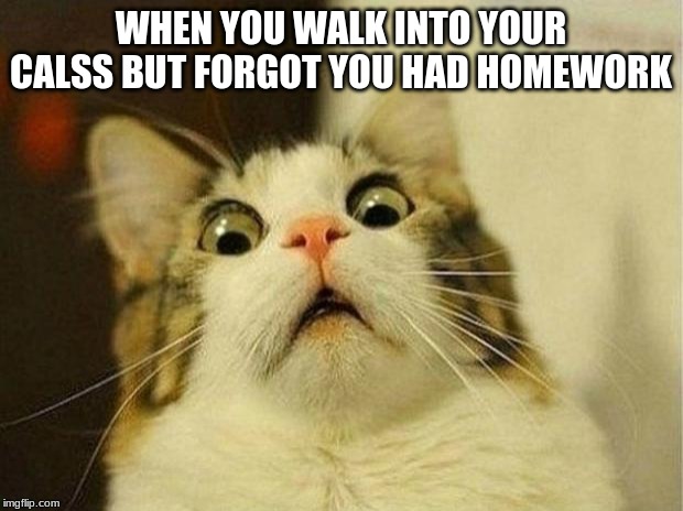 Scared Cat | WHEN YOU WALK INTO YOUR CALSS BUT FORGOT YOU HAD HOMEWORK | image tagged in memes,scared cat | made w/ Imgflip meme maker