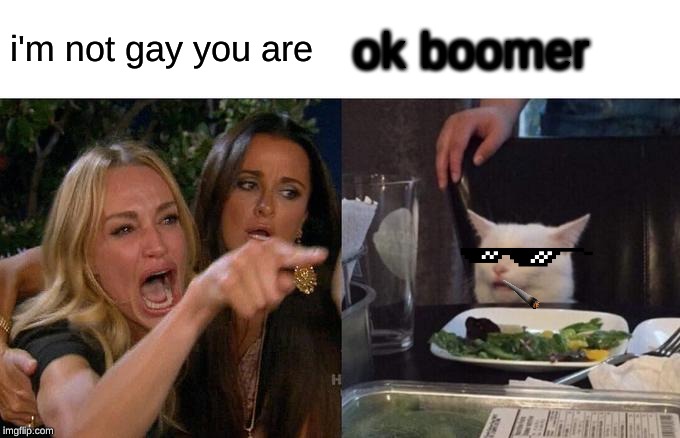 Woman Yelling At Cat | i'm not gay you are; ok boomer | image tagged in memes,woman yelling at cat | made w/ Imgflip meme maker