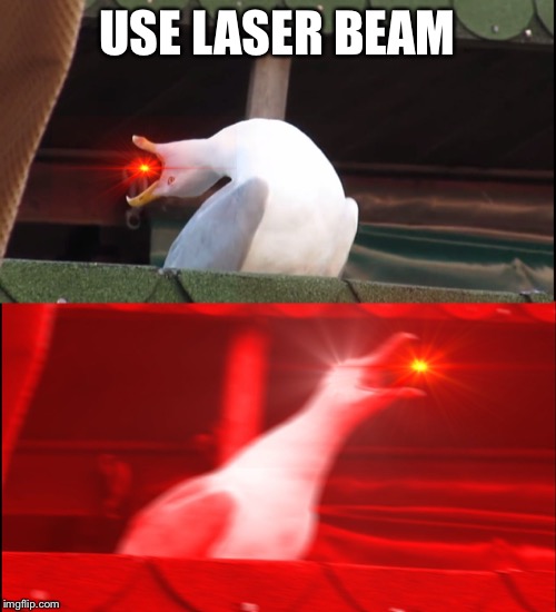 Screaming bird | USE LASER BEAM | image tagged in screaming bird | made w/ Imgflip meme maker