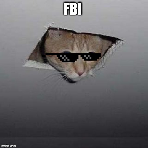 Ceiling Cat Meme | FBI | image tagged in memes,ceiling cat | made w/ Imgflip meme maker