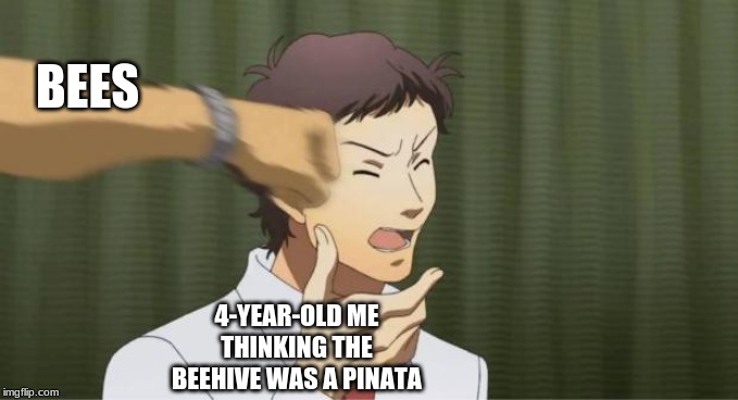 Persona 4 adachi getting punched | BEES; 4-YEAR-OLD ME THINKING THE BEEHIVE WAS A PINATA | image tagged in persona 4 adachi getting punched | made w/ Imgflip meme maker