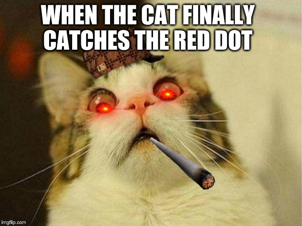 Scared Cat Meme | WHEN THE CAT FINALLY CATCHES THE RED DOT | image tagged in memes,scared cat | made w/ Imgflip meme maker