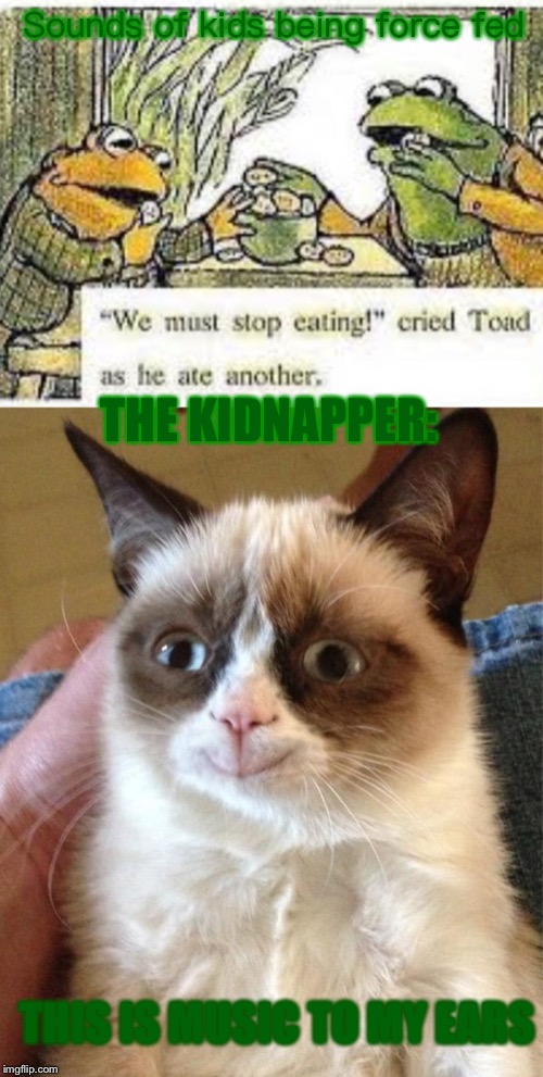 Sounds of kids being force fed; THE KIDNAPPER:; THIS IS MUSIC TO MY EARS | image tagged in memes,grumpy cat happy | made w/ Imgflip meme maker