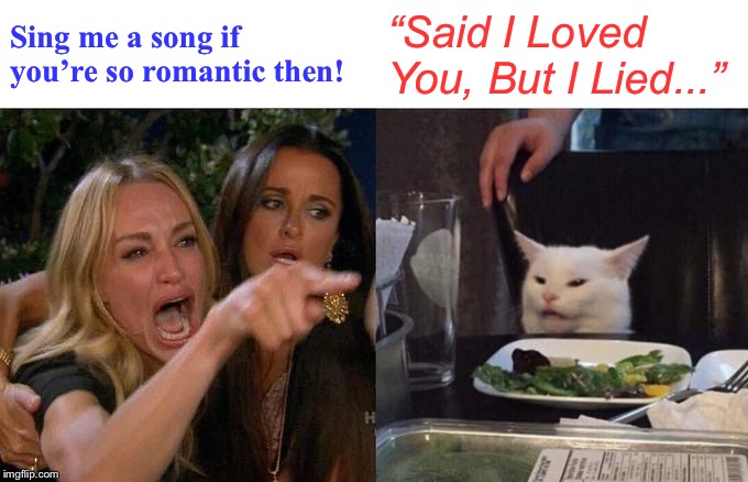 Woman Yelling At Cat Meme | Sing me a song if you’re so romantic then! “Said I Loved You, But I Lied...” | image tagged in memes,woman yelling at cat | made w/ Imgflip meme maker