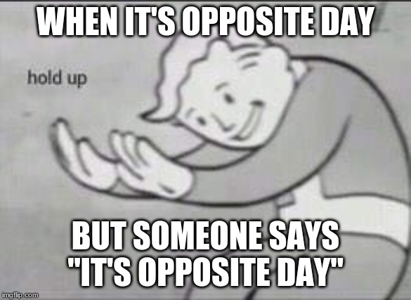 Fallout Hold Up | WHEN IT'S OPPOSITE DAY; BUT SOMEONE SAYS "IT'S OPPOSITE DAY" | image tagged in fallout hold up | made w/ Imgflip meme maker