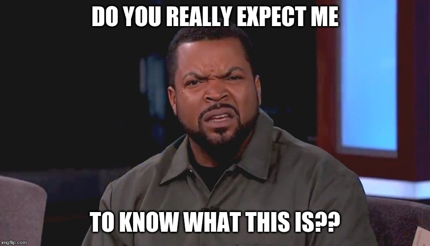 Really? Ice Cube | DO YOU REALLY EXPECT ME TO KNOW WHAT THIS IS?? | image tagged in really ice cube | made w/ Imgflip meme maker