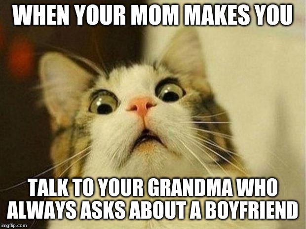 Scared Cat | WHEN YOUR MOM MAKES YOU; TALK TO YOUR GRANDMA WHO ALWAYS ASKS ABOUT A BOYFRIEND | image tagged in memes,scared cat,relatable,boomer | made w/ Imgflip meme maker