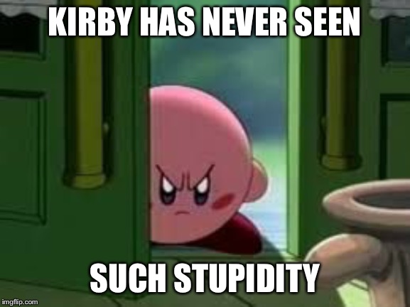 Pissed off Kirby | KIRBY HAS NEVER SEEN; SUCH STUPIDITY | image tagged in pissed off kirby | made w/ Imgflip meme maker