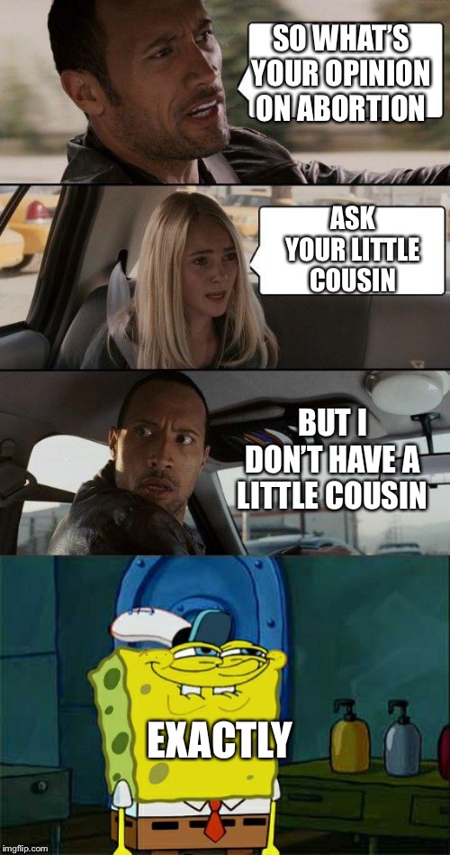 SO WHAT’S YOUR OPINION ON ABORTION; ASK YOUR LITTLE COUSIN; BUT I DON’T HAVE A LITTLE COUSIN; EXACTLY | image tagged in memes,the rock driving,dont you squidward | made w/ Imgflip meme maker