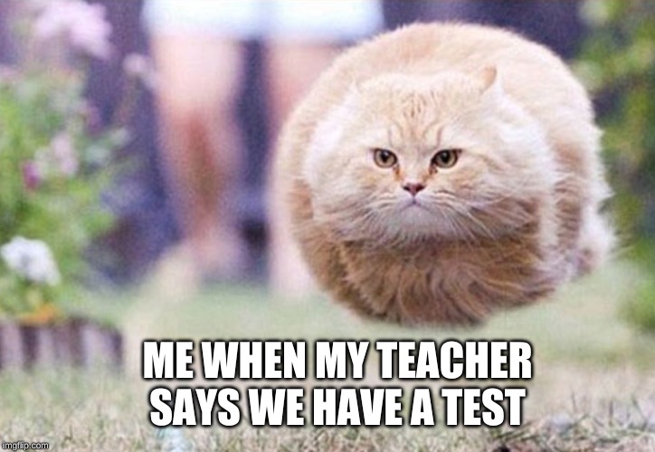 Tests..They suck | ME WHEN MY TEACHER SAYS WE HAVE A TEST | image tagged in memes | made w/ Imgflip meme maker