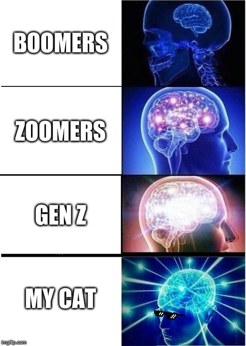 Expanding Brain Meme | BOOMERS; ZOOMERS; GEN Z; MY CAT | image tagged in memes,expanding brain | made w/ Imgflip meme maker