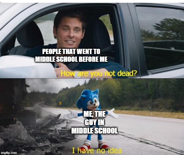 sonic how are you not dead | PEOPLE THAT WENT TO MIDDLE SCHOOL BEFORE ME; ME, THE GUY IN MIDDLE SCHOOL | image tagged in sonic how are you not dead | made w/ Imgflip meme maker
