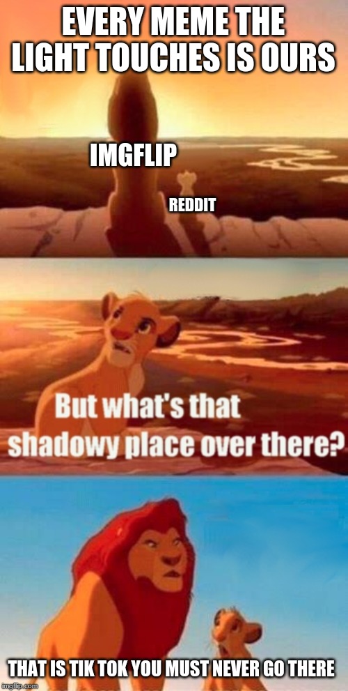 Simba Shadowy Place | EVERY MEME THE LIGHT TOUCHES IS OURS; IMGFLIP; REDDIT; THAT IS TIK TOK YOU MUST NEVER GO THERE | image tagged in memes,simba shadowy place | made w/ Imgflip meme maker