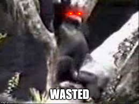 Monkey Fall | WASTED | image tagged in monkey fall | made w/ Imgflip meme maker