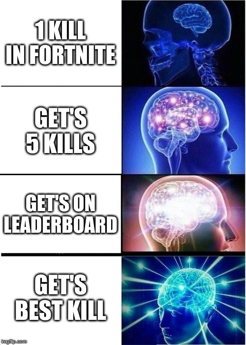 lol | 1 KILL IN FORTNITE; GET'S 5 KILLS; GET'S ON LEADERBOARD; GET'S BEST KILL | image tagged in memes,expanding brain | made w/ Imgflip meme maker