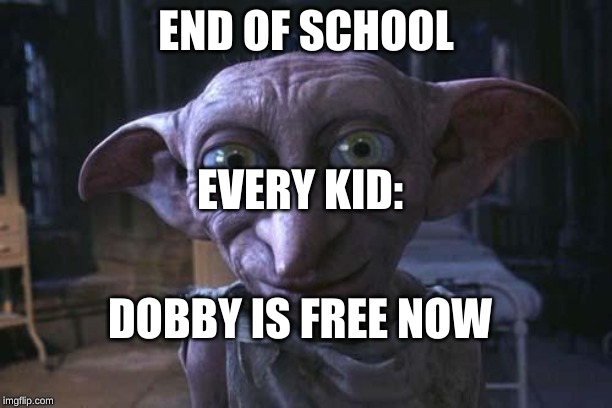 Dobby Is free | END OF SCHOOL; EVERY KID:; DOBBY IS FREE NOW | image tagged in dobby is free | made w/ Imgflip meme maker