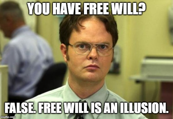 Dwight Schrute | YOU HAVE FREE WILL? FALSE. FREE WILL IS AN ILLUSION. | image tagged in memes,dwight schrute,free will,illusions,choice | made w/ Imgflip meme maker