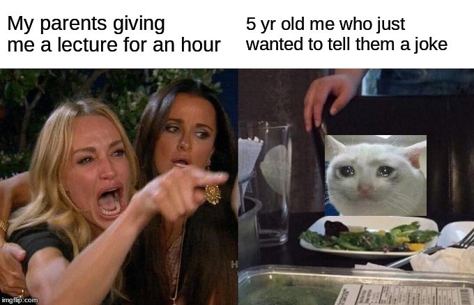 Woman Yelling At Cat | My parents giving me a lecture for an hour; 5 yr old me who just wanted to tell them a joke | image tagged in memes,woman yelling at cat | made w/ Imgflip meme maker