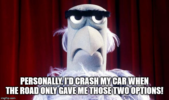 Sam the American Eagle | PERSONALLY, I'D CRASH MY CAR WHEN THE ROAD ONLY GAVE ME THOSE TWO OPTIONS! | image tagged in sam the american eagle | made w/ Imgflip meme maker