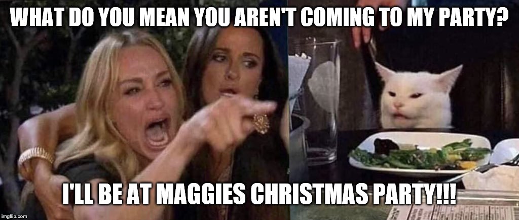 woman yelling at cat | WHAT DO YOU MEAN YOU AREN'T COMING TO MY PARTY? I'LL BE AT MAGGIES CHRISTMAS PARTY!!! | image tagged in woman yelling at cat | made w/ Imgflip meme maker