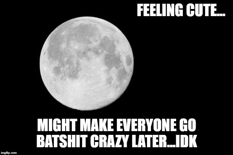 FEELING CUTE... MIGHT MAKE EVERYONE GO BATSHIT CRAZY LATER...IDK | image tagged in full moon,feeling cute,crazy | made w/ Imgflip meme maker