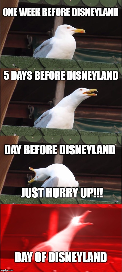 Inhaling Seagull Meme | ONE WEEK BEFORE DISNEYLAND; 5 DAYS BEFORE DISNEYLAND; DAY BEFORE DISNEYLAND; JUST HURRY UP!!! DAY OF DISNEYLAND | image tagged in memes,inhaling seagull | made w/ Imgflip meme maker