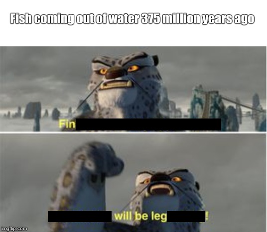 hehe funny fish | Fish coming out of water 375 million years ago | image tagged in finally a worthy opponent,memes | made w/ Imgflip meme maker
