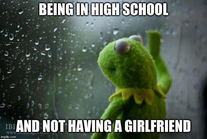 kermit window | BEING IN HIGH SCHOOL; AND NOT HAVING A GIRLFRIEND | image tagged in kermit window | made w/ Imgflip meme maker