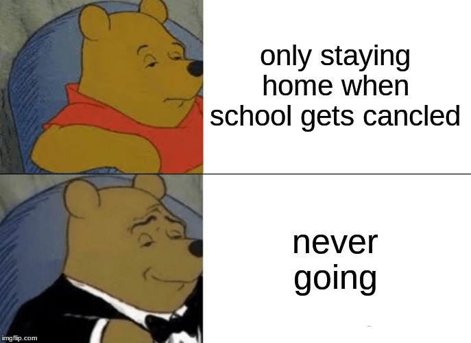 Tuxedo Winnie The Pooh Meme | only staying home when school gets cancled never going | image tagged in memes,tuxedo winnie the pooh | made w/ Imgflip meme maker