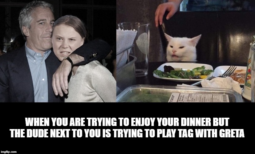 Jeffrey, Greta, and the Cat | WHEN YOU ARE TRYING TO ENJOY YOUR DINNER BUT THE DUDE NEXT TO YOU IS TRYING TO PLAY TAG WITH GRETA | image tagged in jeffrey epstein,greta thunberg,woman yelling at cat | made w/ Imgflip meme maker