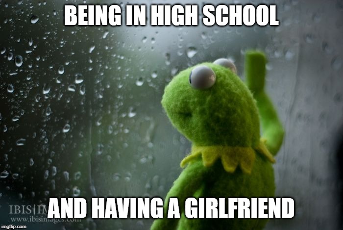 kermit window | BEING IN HIGH SCHOOL AND HAVING A GIRLFRIEND | image tagged in kermit window | made w/ Imgflip meme maker