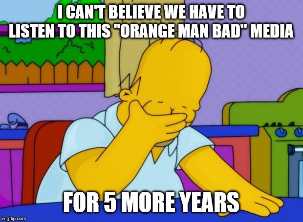 smh homer | I CAN'T BELIEVE WE HAVE TO LISTEN TO THIS "ORANGE MAN BAD" MEDIA; FOR 5 MORE YEARS | image tagged in smh homer | made w/ Imgflip meme maker