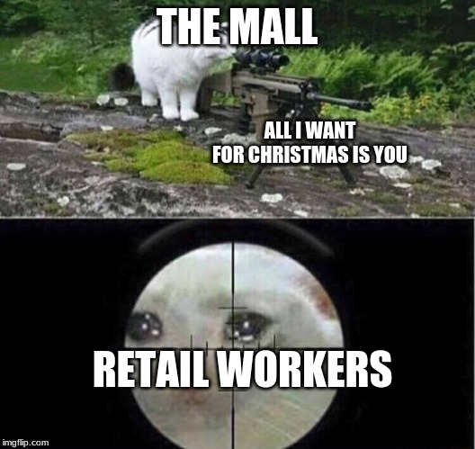 Sniper cat | THE MALL; ALL I WANT FOR CHRISTMAS IS YOU; RETAIL WORKERS | image tagged in sniper cat | made w/ Imgflip meme maker