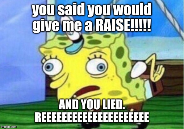 Mocking Spongebob | you said you would give me a RAISE!!!!! AND YOU LIED.
REEEEEEEEEEEEEEEEEEEEE | image tagged in memes,mocking spongebob | made w/ Imgflip meme maker