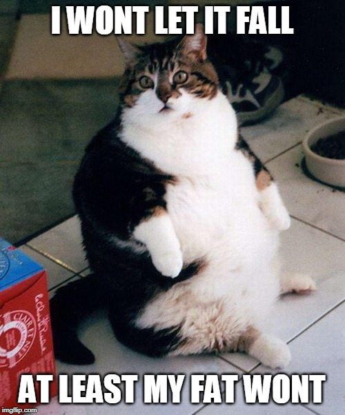 fat cat | I WONT LET IT FALL AT LEAST MY FAT WONT | image tagged in fat cat | made w/ Imgflip meme maker